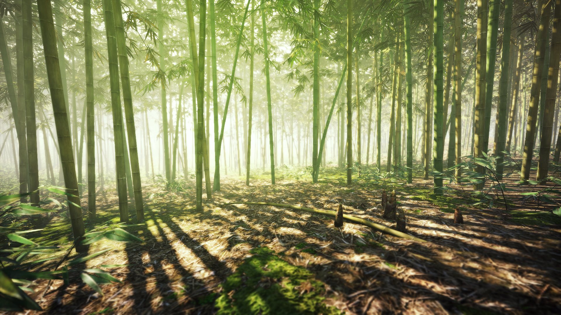 Dynasty Warriors 9 - Imagen 27